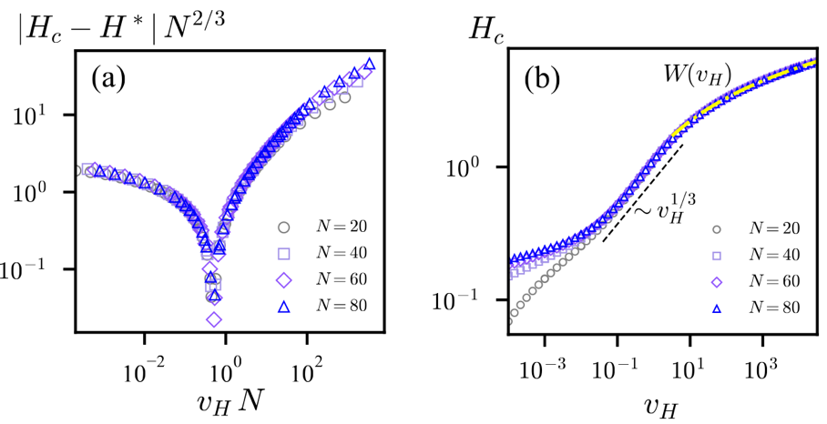 Curie-Weiss模型中的矫顽力标度行为