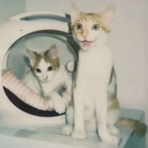 WorkAny Agent：当你需要它整理文件时的表情 vs 它实际在做什么