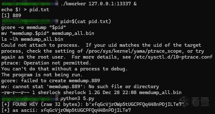 终端界面显示使用 gcore 命令生成进程内存转储文件的过程，最后显示 Python 脚本执行结果和一个十六进制密钥字符串