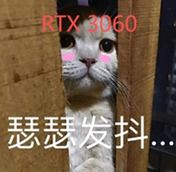 白色猫咪配文RTX 3060瑟瑟发抖的梗图