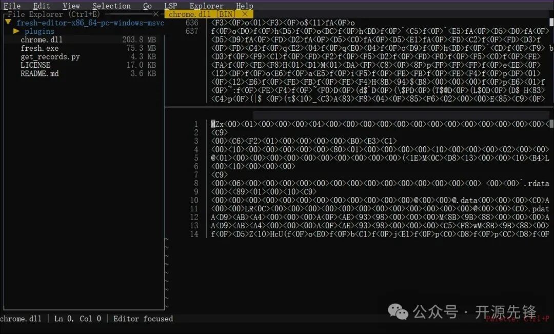 使用 Fresh 打开大型 DLL 文件