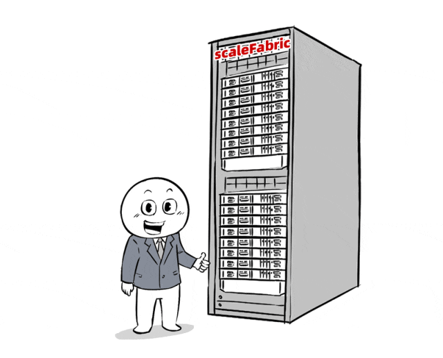 scaleFabric网络解决方案动图