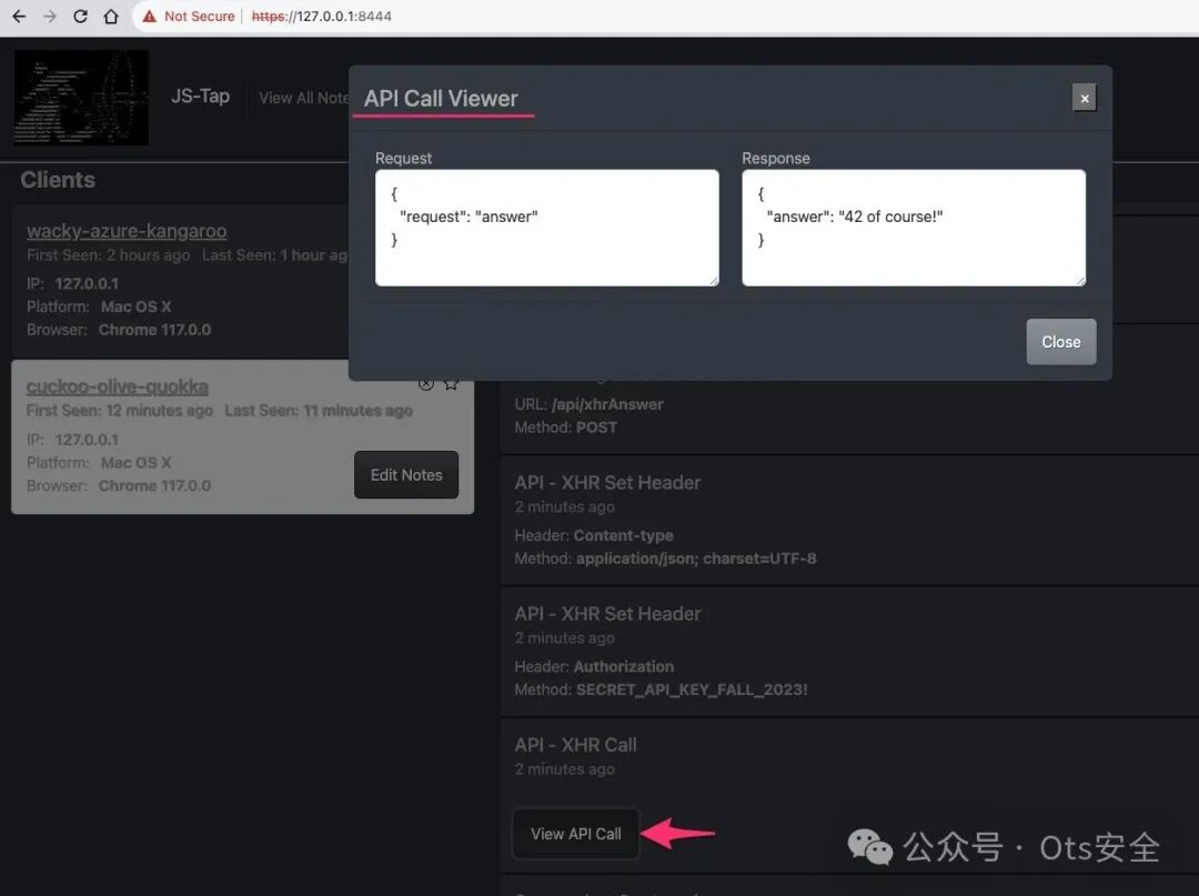 API Call Viewer弹窗,并排显示XHR请求的JSON请求体和响应体。