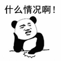 什么情况啊!