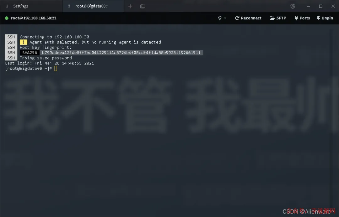 成功连接服务器终端