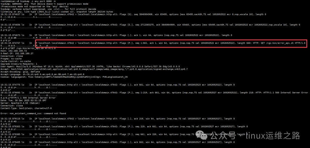 tcpdump实时抓取并显示HTTP 500错误详情