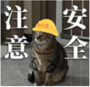 强调安全测试注意事项的趣味图片