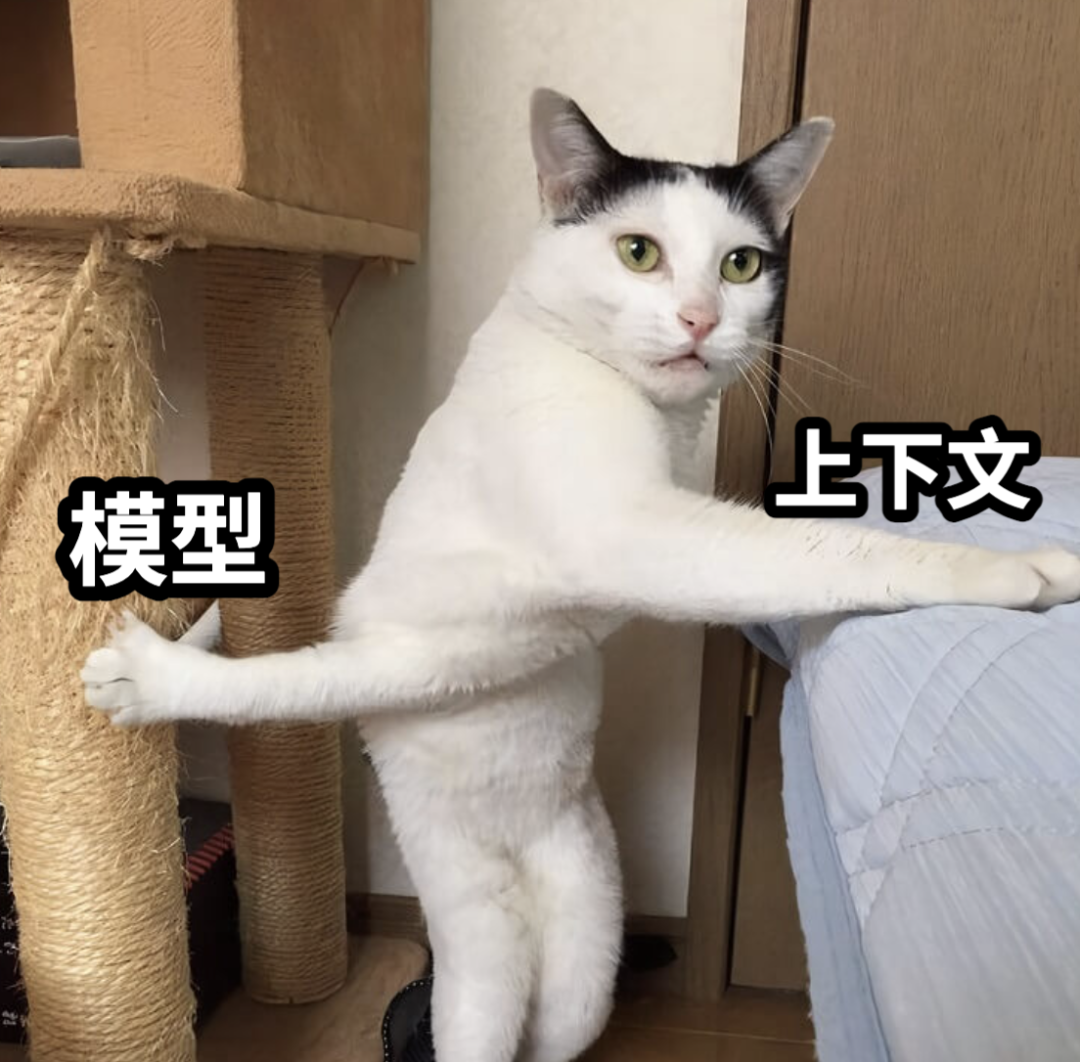 猫咪站在猫爬架旁，标注“模型”与“上下文”