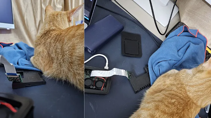 橘猫在测试桌上触碰电子设备