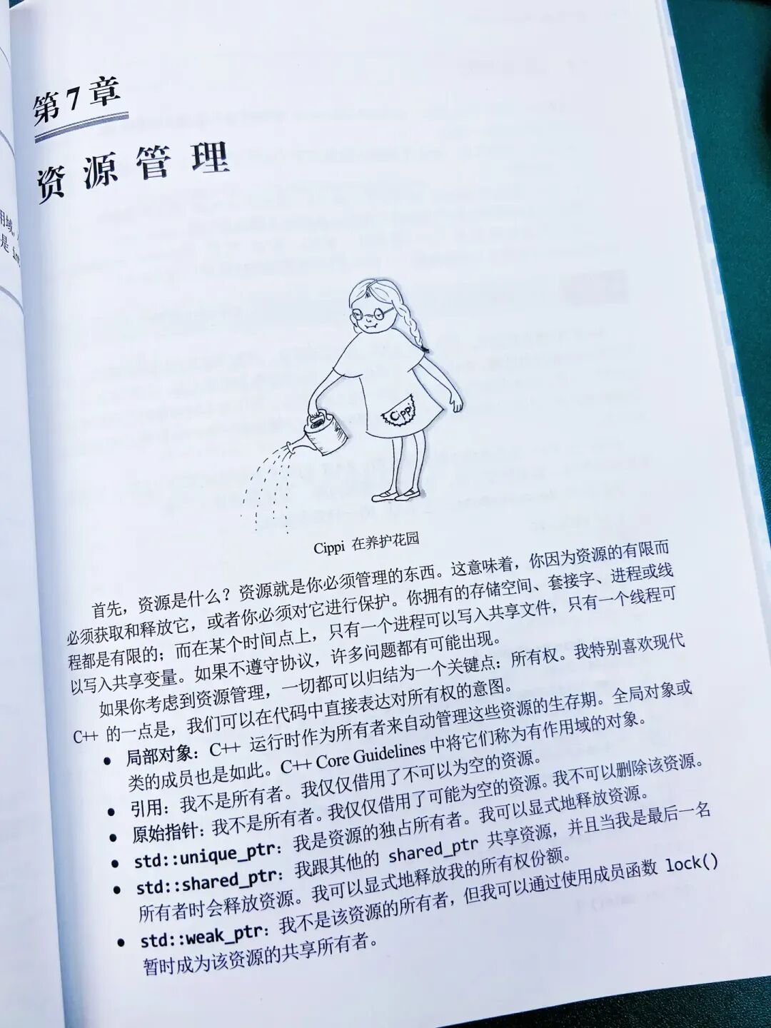 C++ Core Guidelines中关于资源管理的章节内页