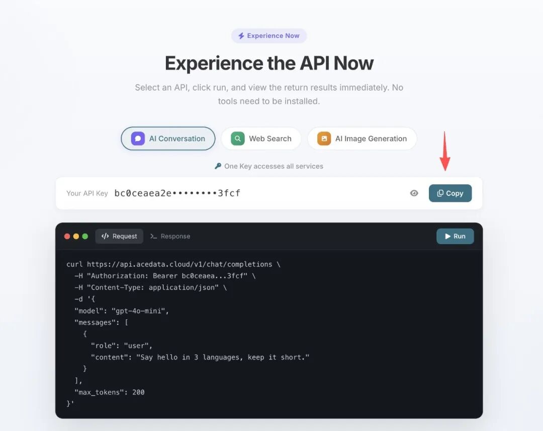 Ace Data Cloud 首页 API Token 界面