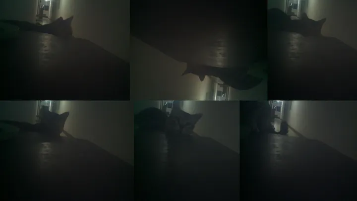 昏暗走廊中模糊身影的监控画面