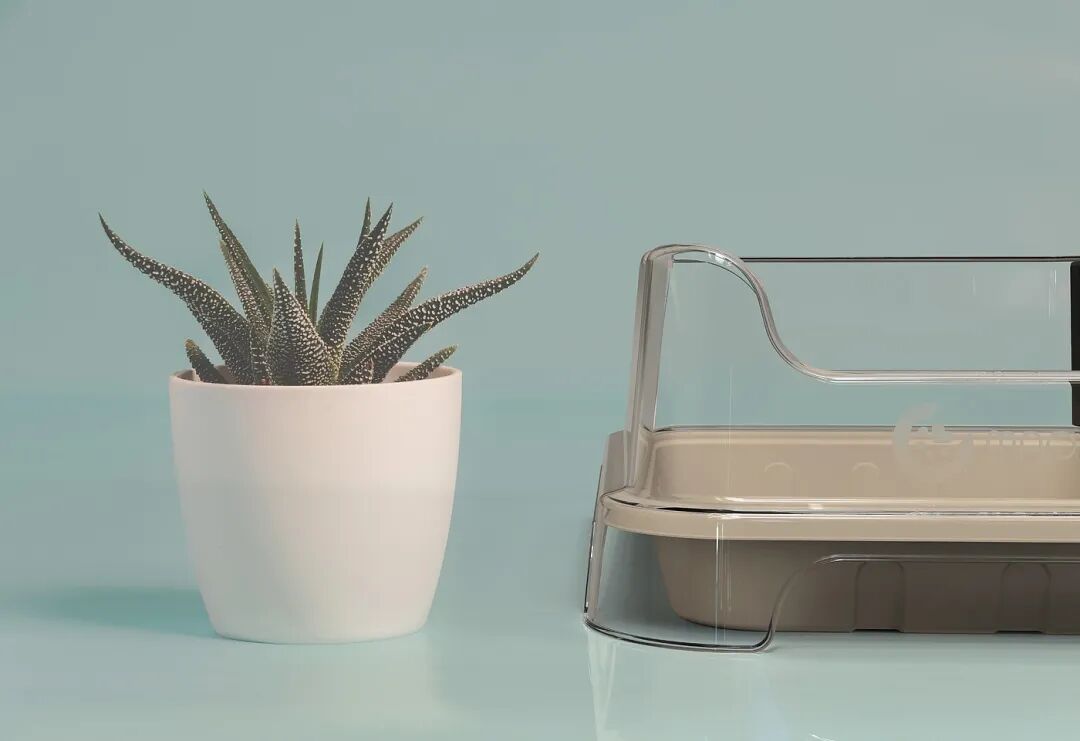 白色陶瓷花盆多肉植物与透明盖托盘静物照