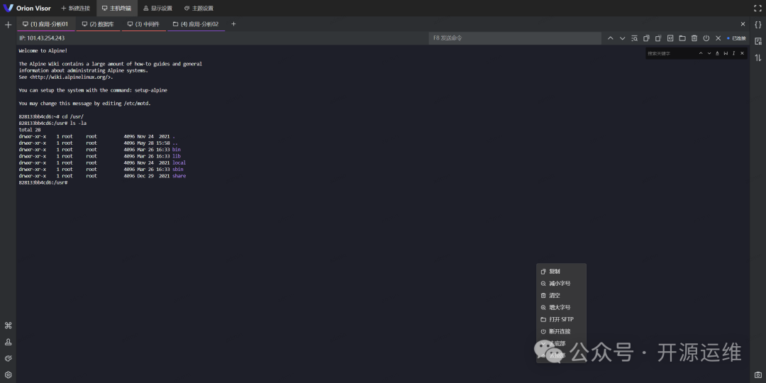 Orion Visor在线终端SSH连接示例