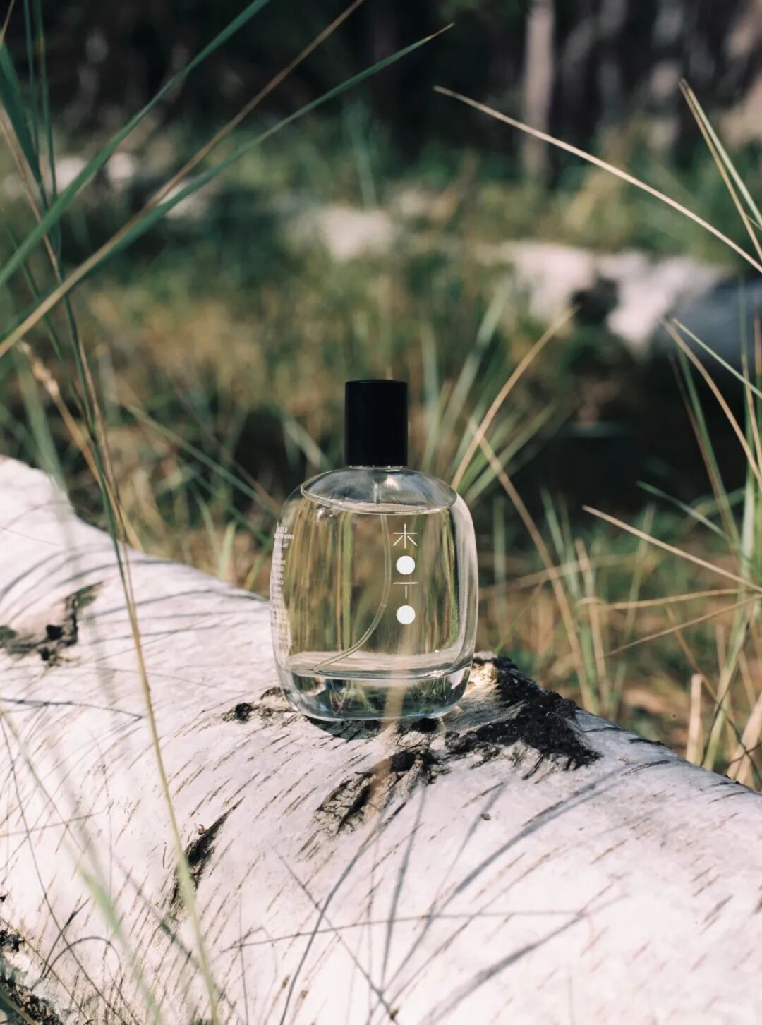 Koto香水置于白桦树干