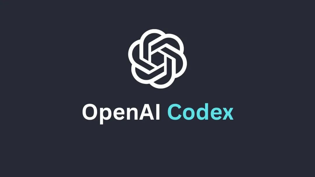 OpenAI Codex 标志