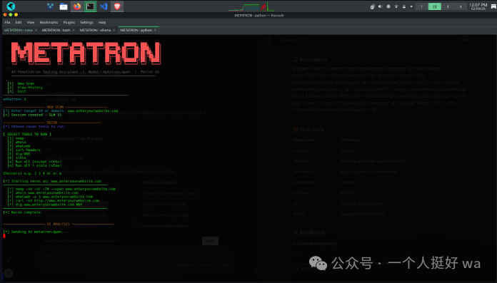 METATRON扫描结果界面