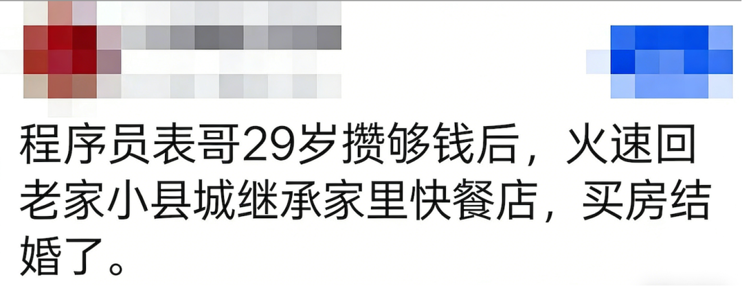 程序员返乡故事梗概图文