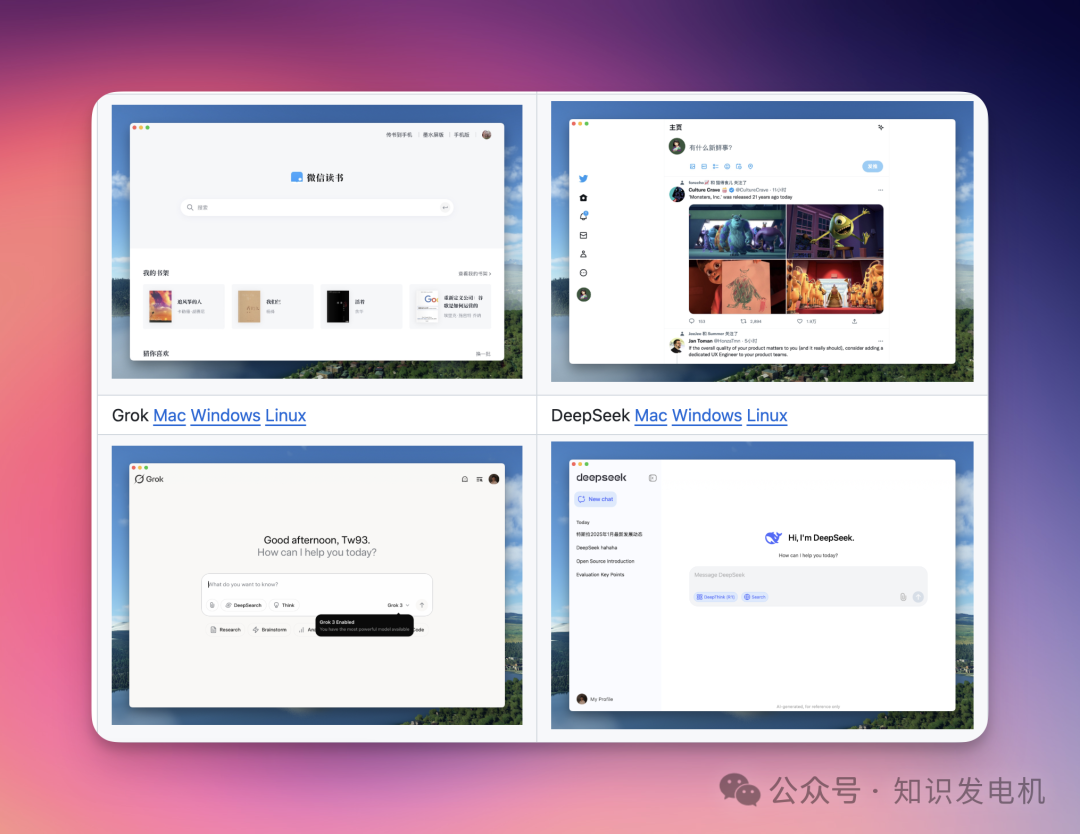 Rust Tauri WebView 应用对比:微信读书、社交媒体、Grok 与 DeepSeek 界面展示