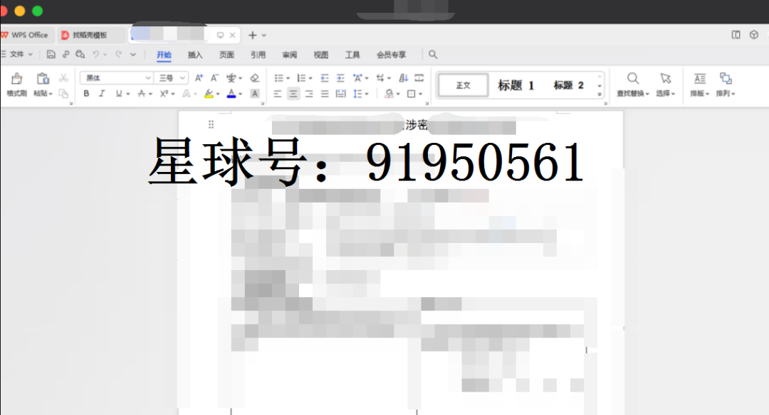 WPS文档编辑界面