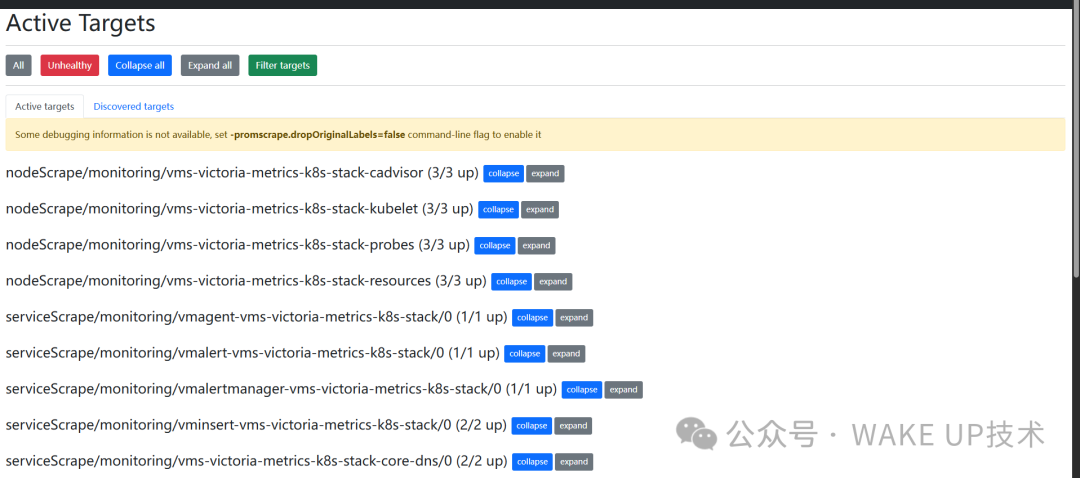 vmagent targets界面