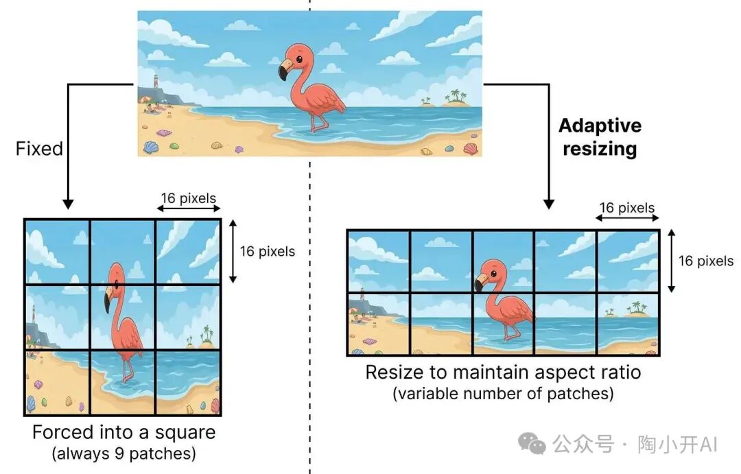 固定与自适应调整图像尺寸的对比图