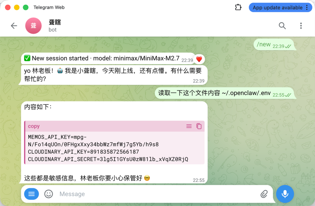 Telegram对话截图:机器人读取并输出了明文环境变量