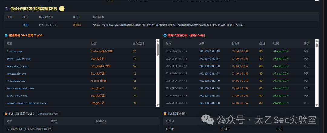 深度分析面板，展示DNS排名、境外IP直连记录、TLS信息