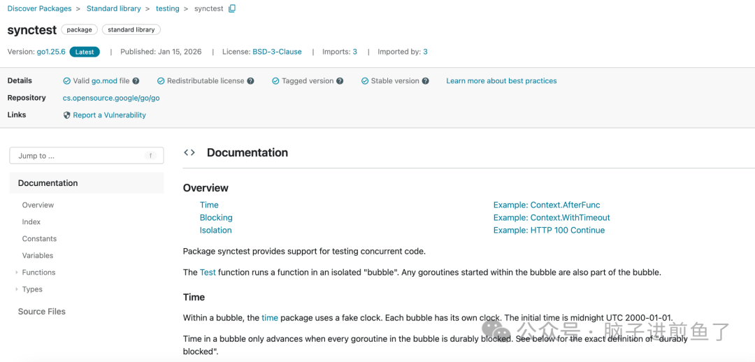 Go 1.25 synctest 包官方文档截图