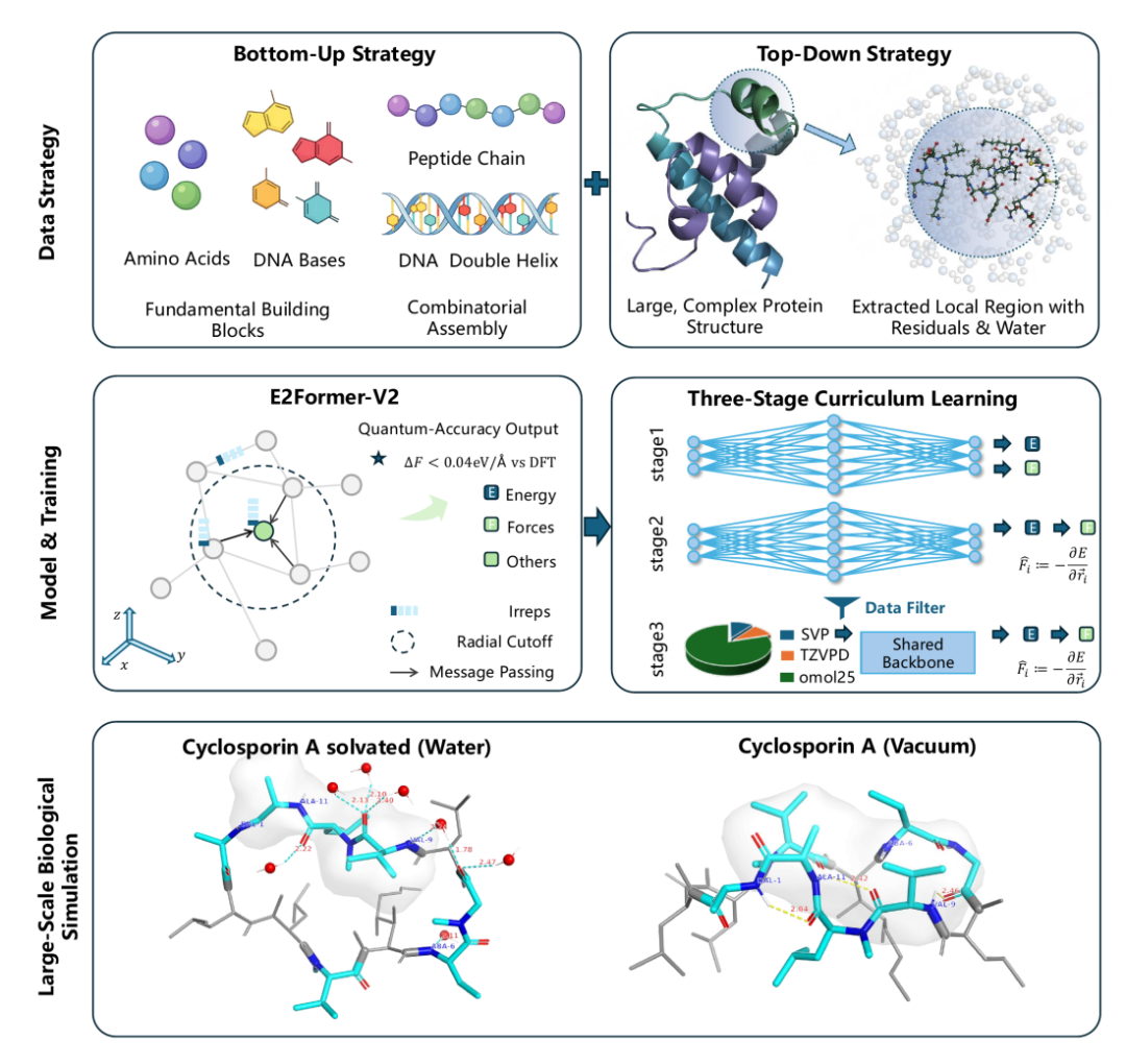 生物分子建模多策略框架图：数据、模型与训练