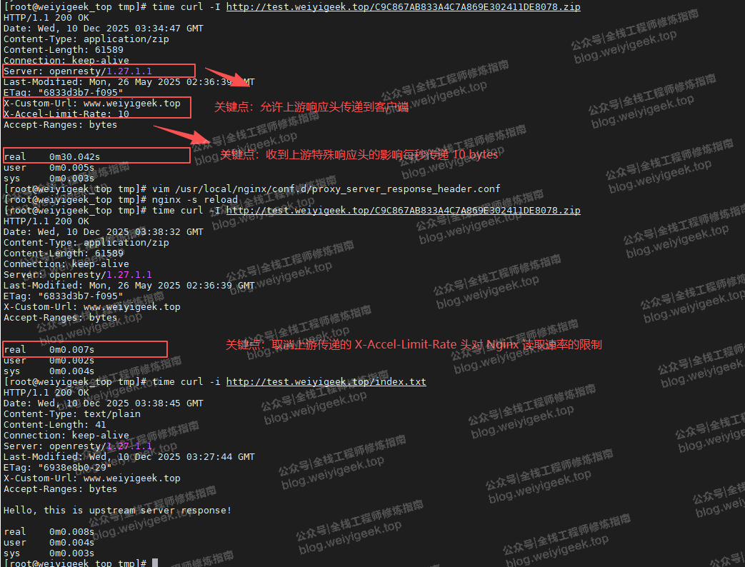 验证响应头部处理结果