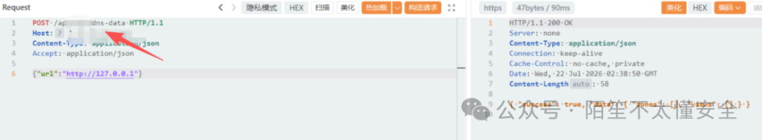 网络请求和响应数据截图,POST请求体包含url:http://127.0.0.1,响应成功返回success:true及IP信息