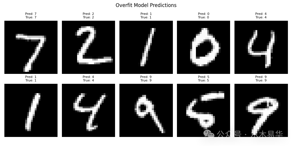 过拟合模型在MNIST测试集上的预测结果示例
