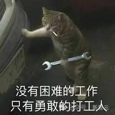 一只虎斑猫站在汽车轮胎旁，前爪搭在车身上，嘴里叼着一把扳手，表情专注。图片下方有中文文字“没有困难的工作 只有勇敢的打工人”