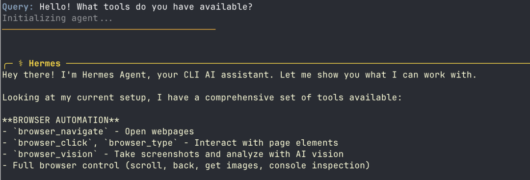 Hermes Agent 在终端中的对话回复