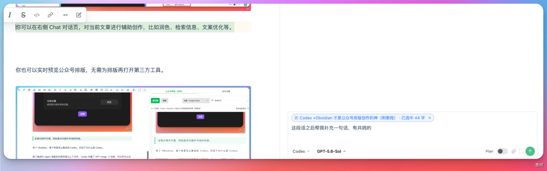 Chat 对话界面:用户要求 Codex 根据选中文字补充一句有共鸣的话