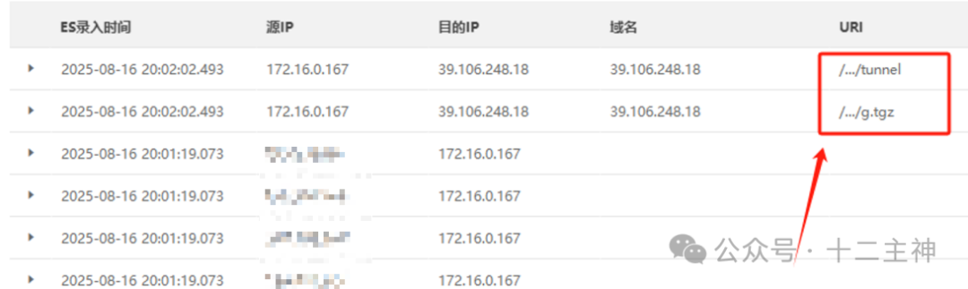 日志显示下载g.tgz和tunnel文件