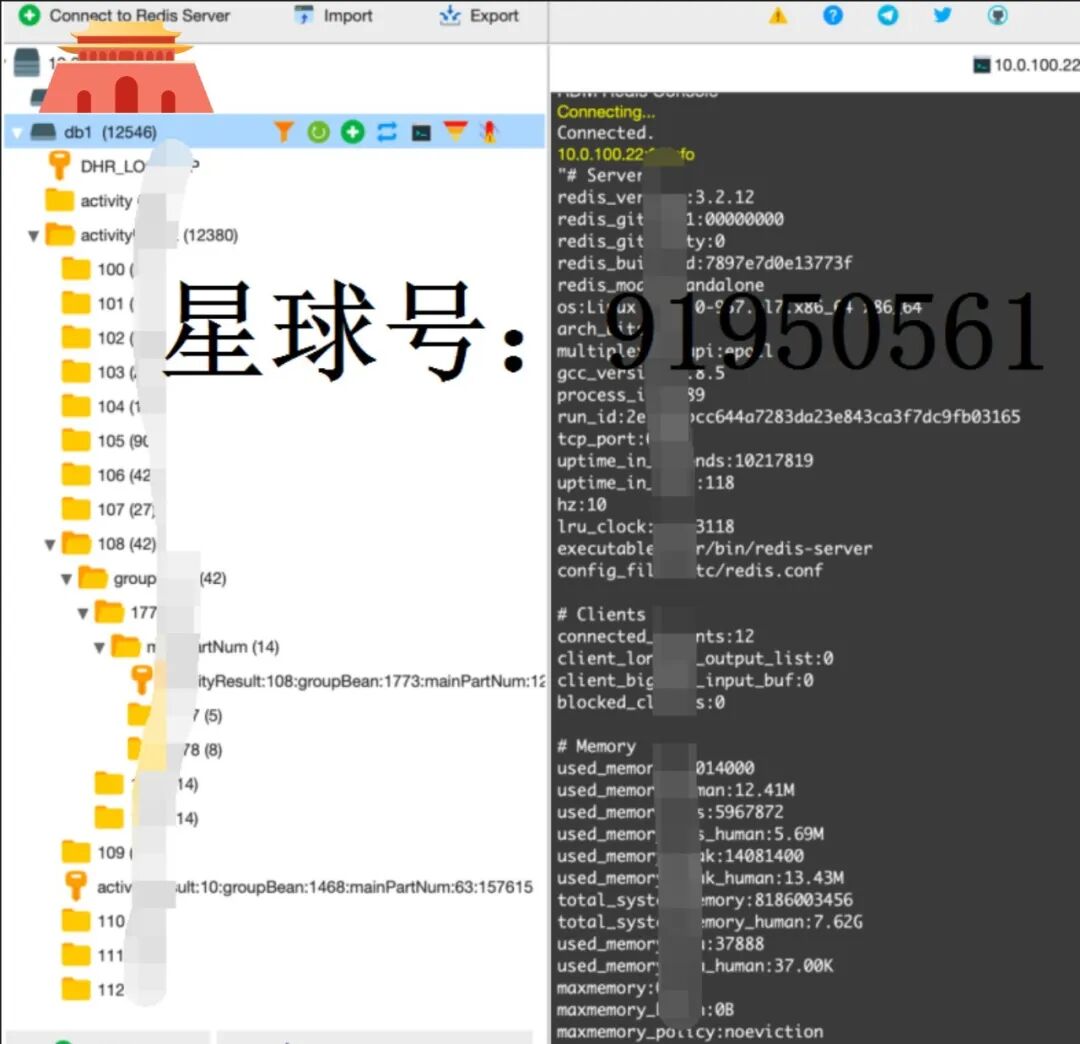 Redis服务器连接信息