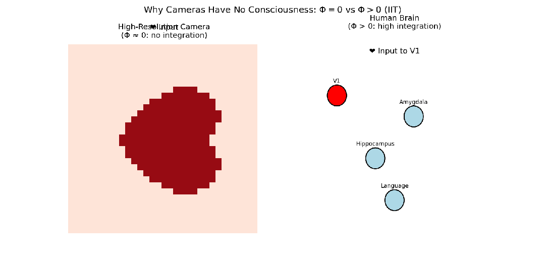信息整合对比:相机与大脑