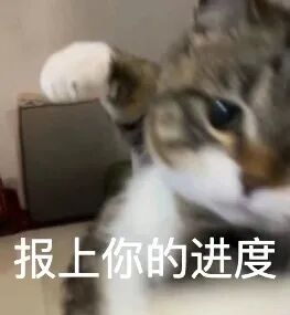 梗图：报上你的进度