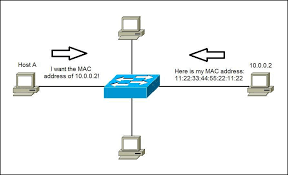 别再只盯着VLAN！详解以太网二层协议家族与网络环路排障指南 - 图片 - 4