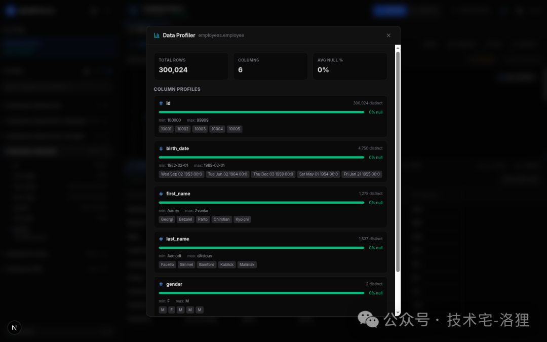 LibreDB Studio 数据剖析面板：各列空值率、基数、极值与样本值