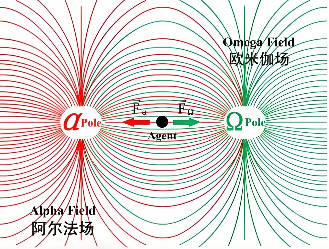 阿尔法场与欧米伽场的对称双极示意图,Agent受两个引力场牵引