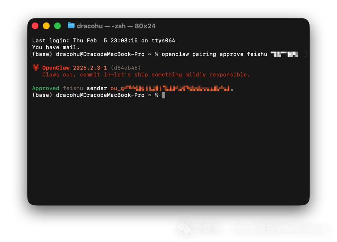在终端批准配对码