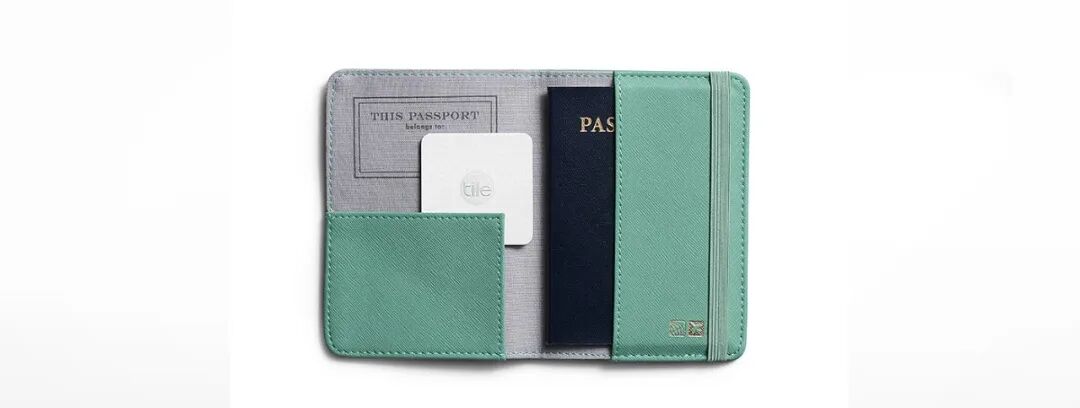一个打开的浅绿色和灰色拼接护照夹，内含一本深蓝色护照