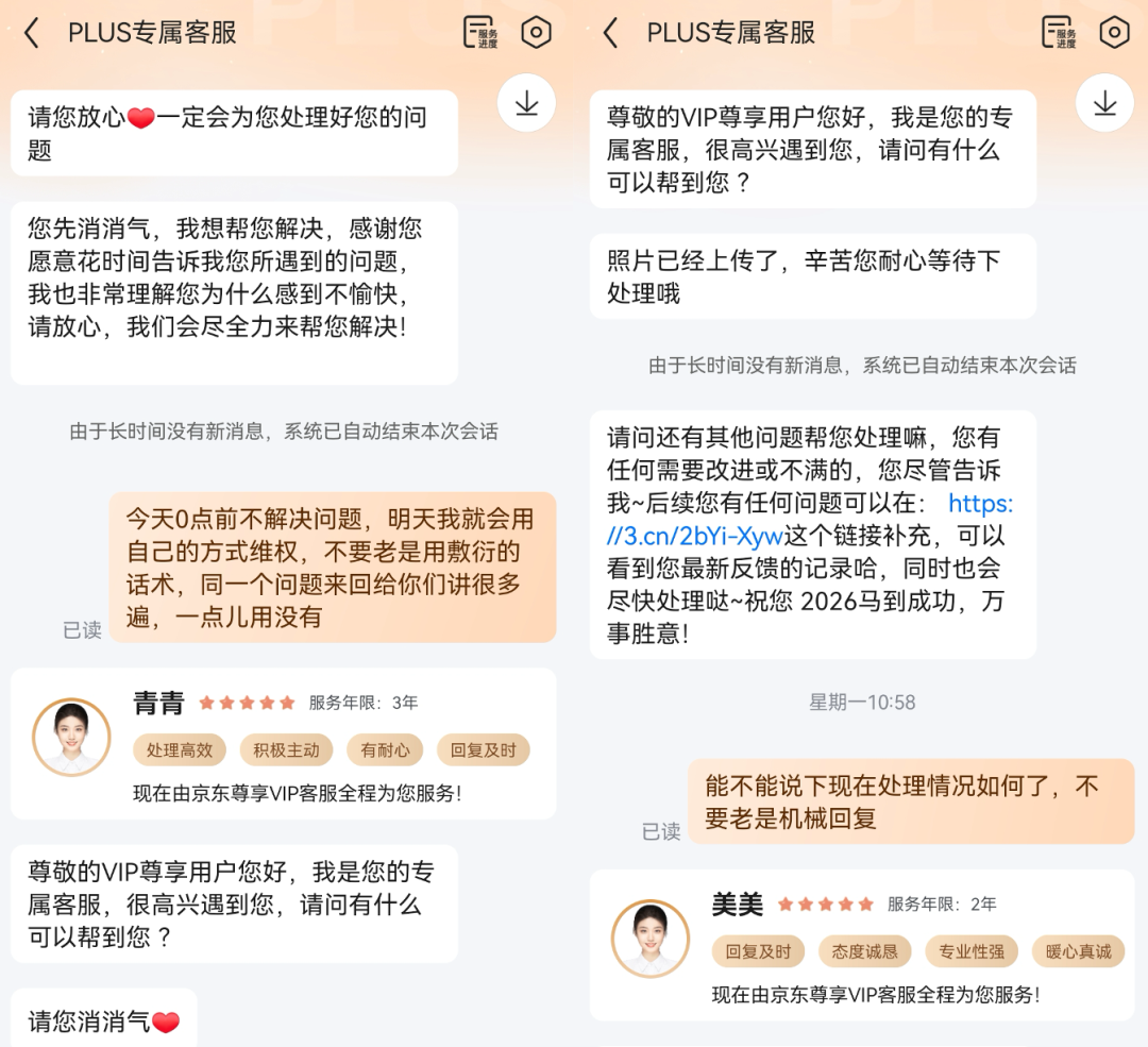 客服使用话术安抚但无实际解决方案的对话截图
