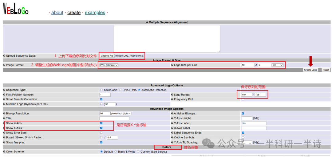 WebLogo参数设置与上传界面