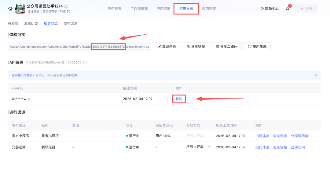 应用发布页面,展示体验链接与API密钥
