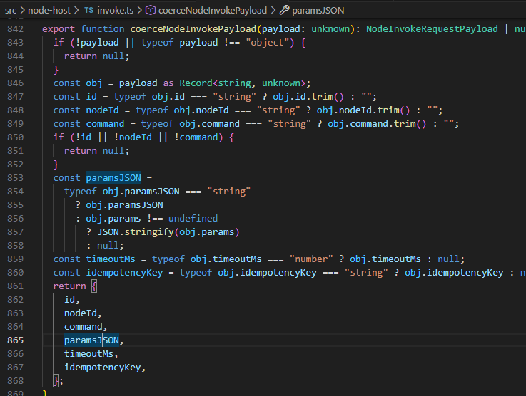 `coerceNodeInvokePayload` 函数解析参数
