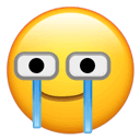 (哭笑不得表情)